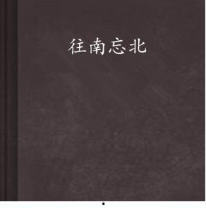 往南忘北,探寻地域变迁中的文化记忆