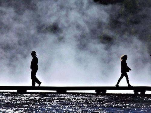 分道不扬镳,人生轨迹的多元演绎