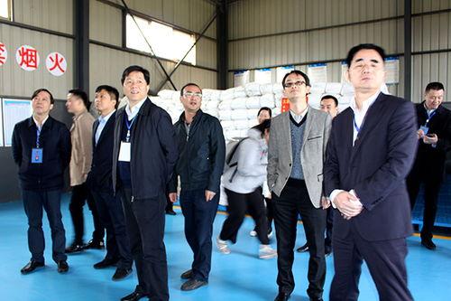 大项目,大项目宏伟蓝图解析