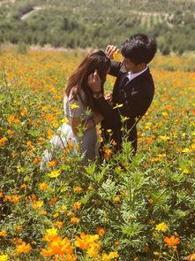 美丽长情,探寻永恒爱情的秘密花园